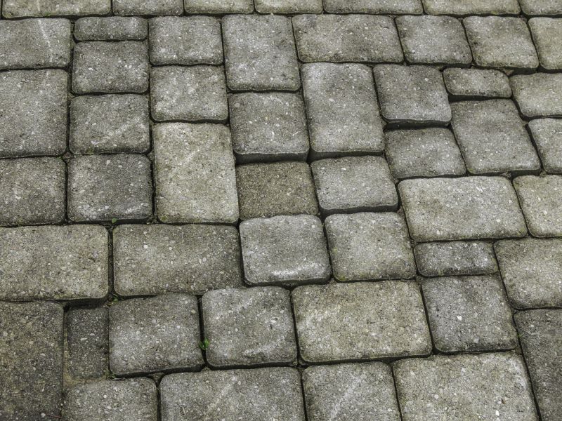 Paver Repair and Restoration