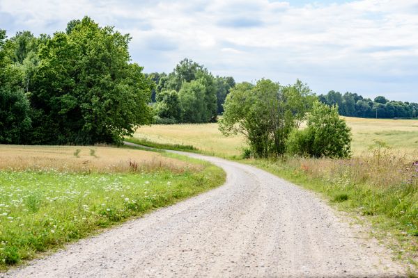 Stone Driveway Repair in Green Valley