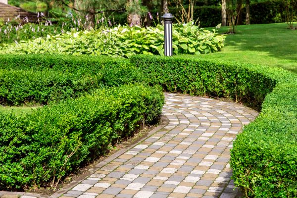 Paved Landscaping in Green Valley