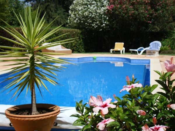 Pool Terrace Renovation in Green Valley