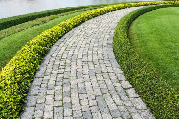 Cost of Sidewalk Pavers Installation in Green Valley